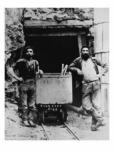 4bb497be91b0c8217026f73db1532175